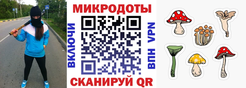 mega   Нюрба  Псилоцибиновые грибы мухоморы 